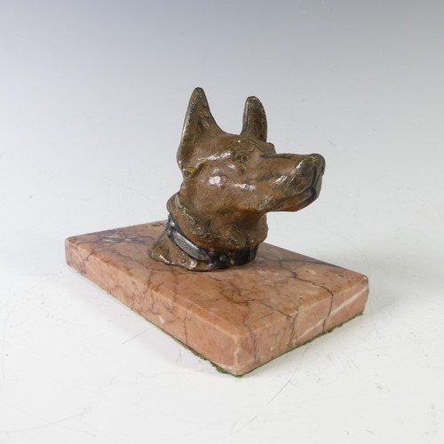 210 - An Austrian cast bronze cold painted German Shepherd head, on marble base, note wear to the paint on... 