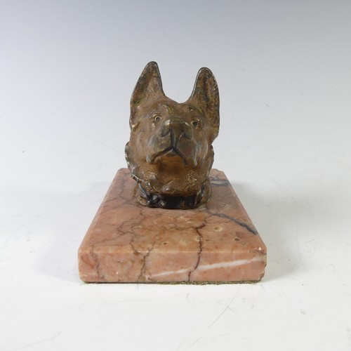 210 - An Austrian cast bronze cold painted German Shepherd head, on marble base, note wear to the paint on... 