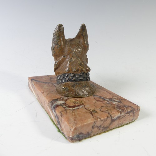 210 - An Austrian cast bronze cold painted German Shepherd head, on marble base, note wear to the paint on... 