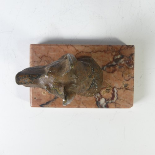 210 - An Austrian cast bronze cold painted German Shepherd head, on marble base, note wear to the paint on... 