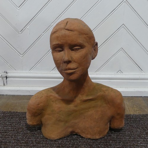 389 - A mid 20thC terracotta bust,  W 37 cm x H 42 cm x D 20 cm.