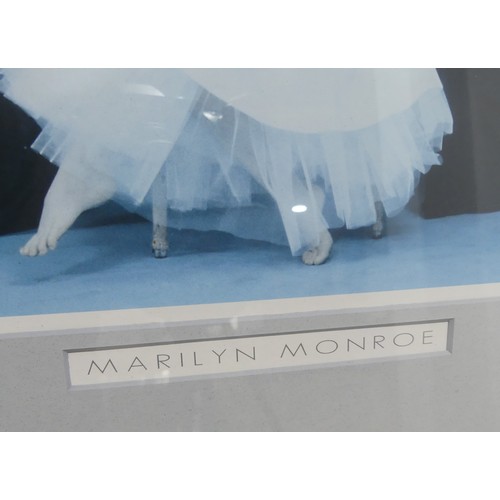 177 - Marilyn Monroe interest; a signed limited edition print, 453/850, by Gordon King, 38cm x 55cm, and a... 