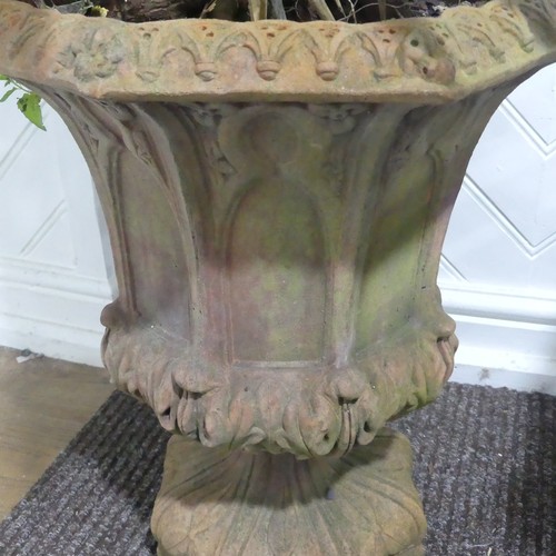 397 - A pair of gothic style terracotta Urns currently planted with Yuccas, W 42 cm x H 50 cm x D 42 cm(2)... 