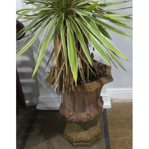 397 - A pair of gothic style terracotta Urns currently planted with Yuccas, W 42 cm x H 50 cm x D 42 cm(2)... 