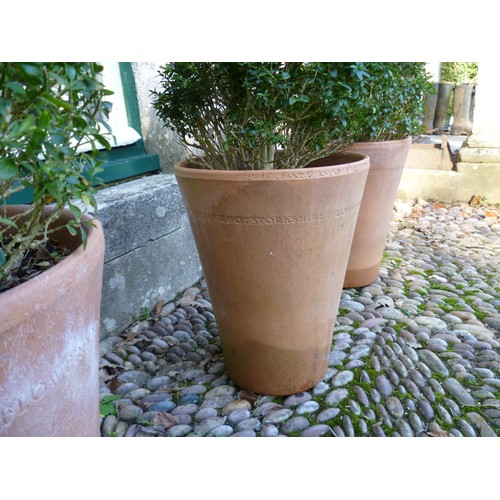 400 - Two pairs of spiral box Topiary, planted in Long Tom style terracotta plant pots, note two plants ar... 