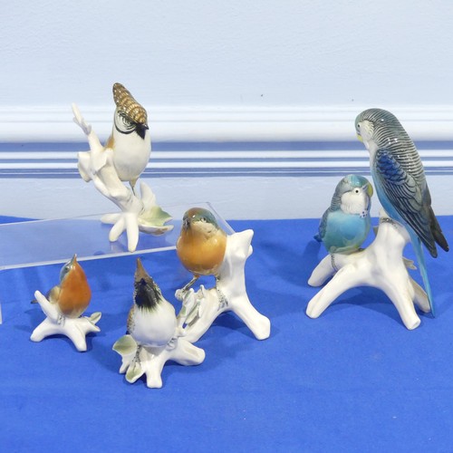 61 - A small quantity of Karl Ens porcelain Figures, to comprise a pair of parakeets, two Lapwings, a Rob... 