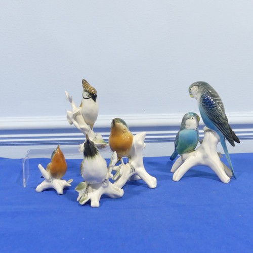 61 - A small quantity of Karl Ens porcelain Figures, to comprise a pair of parakeets, two Lapwings, a Rob... 