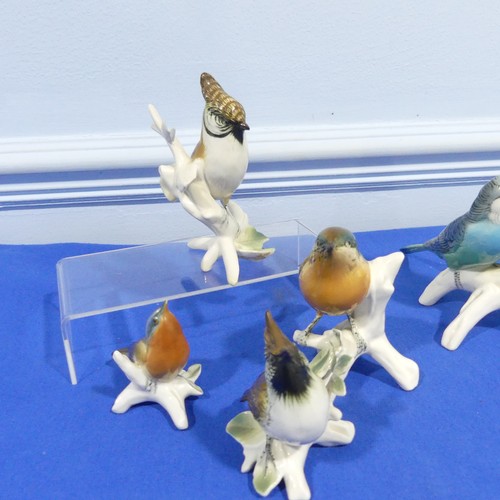 61 - A small quantity of Karl Ens porcelain Figures, to comprise a pair of parakeets, two Lapwings, a Rob... 