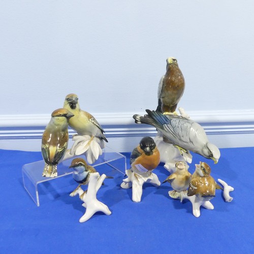 62 - A Karl Ens for Volstedt Rudolstadt porcelain figure of two Falcons, broken branch, together with a q... 