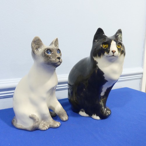 70 - A pair of Winstanley pottery Cat Figures sitting, both with glass eyes and signed bases, H 29 cm.... 