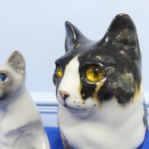 70 - A pair of Winstanley pottery Cat Figures sitting, both with glass eyes and signed bases, H 29 cm.... 