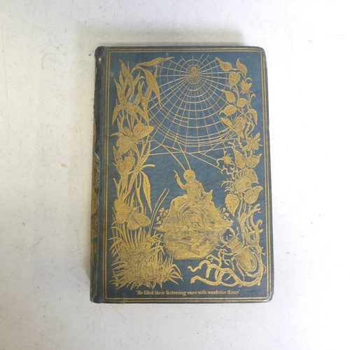 61 - Acheta (Domestica); 'Episodes of Insect Life', pub. Reeve & co, London 1849, first edition, in p... 