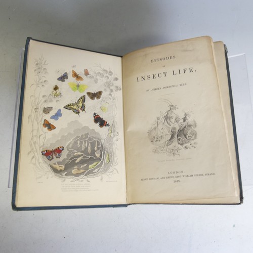 61 - Acheta (Domestica); 'Episodes of Insect Life', pub. Reeve & co, London 1849, first edition, in p... 