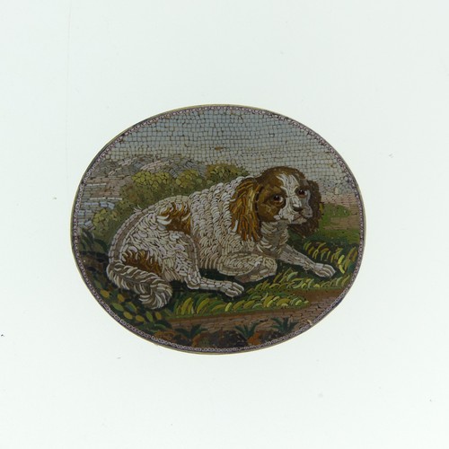 486 - An Italian 'Grand Tour' Micromosaic of a Spaniel, in the manner of Antonio Aguatti (late 18thC - 184...