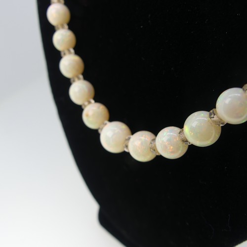 379 - A graduated opal bead Necklace, the white opals with facetted rock crystal spacers between each bead... 