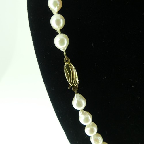 380 - A single row of baroque Cultured Pearls, on 9ct gold snap, 48cm long, together with a string of seed... 