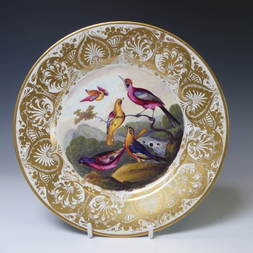 164 - An early 19thC Crown Derby porcelain Cabinet Plate, with central decoration of five exotic birds enc... 