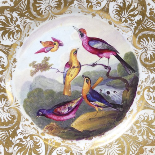 164 - An early 19thC Crown Derby porcelain Cabinet Plate, with central decoration of five exotic birds enc... 