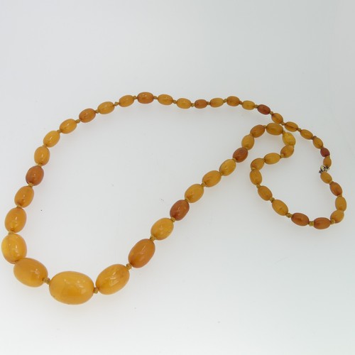 154 - A graduated amber bead Necklace, the oval beads individually knotted on yellow string and with gilt ... 