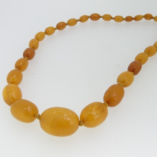 154 - A graduated amber bead Necklace, the oval beads individually knotted on yellow string and with gilt ... 