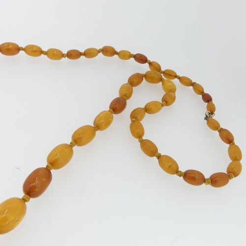 154 - A graduated amber bead Necklace, the oval beads individually knotted on yellow string and with gilt ... 