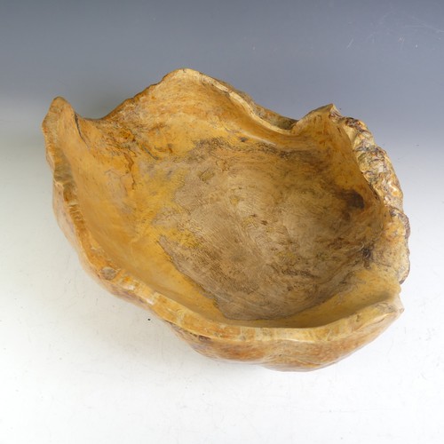 588 - A large Scandinavian root Bowl, dated '1985' signed 'H.Nordstedt', W 41 cm x H 17 cm x D 33 cm.... 