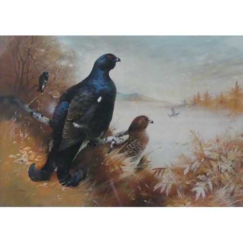 140 - Alan Hayman (British b. 1947), Black Cock, acrylic, signed lower left and dated ’84, 50cm x 70cm, fr... 