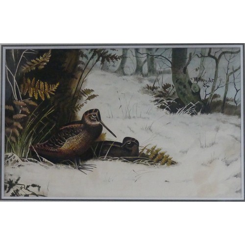 141 - Manner of Archibald Thorburn (British b. 1947), Woodcocks in a winter landscape, acrylic, unsigned, ... 