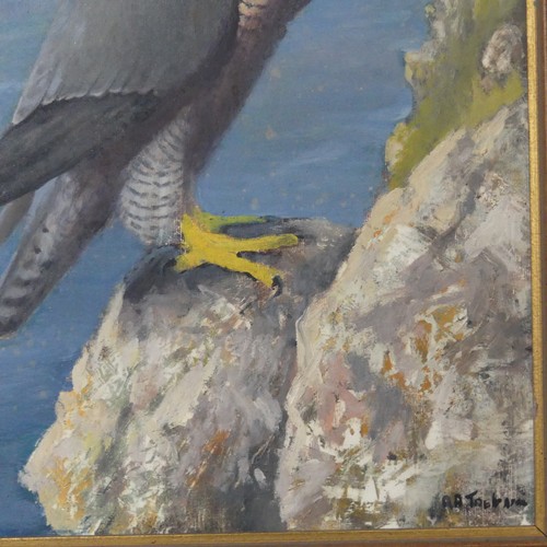 143 - R. B. Treleaven, Peregrine Falcon, N. Cornwall, oil on board, signed, also signed and inscribed vers... 