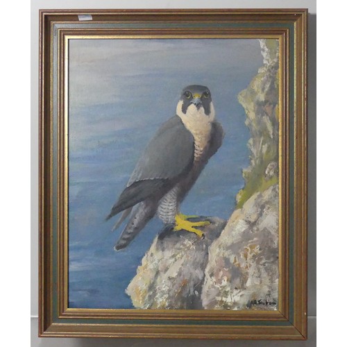 143 - R. B. Treleaven, Peregrine Falcon, N. Cornwall, oil on board, signed, also signed and inscribed vers... 