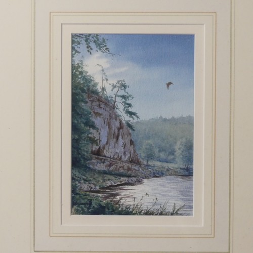 144 - O Williams (English School, late 20th century), Woodcock in flight above wooded river landscape, wat... 