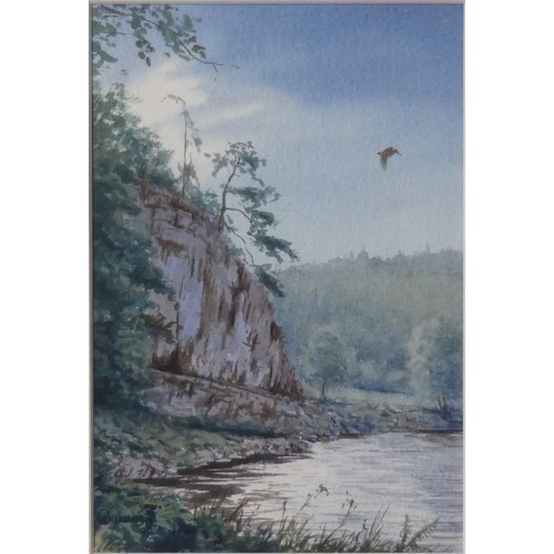 144 - O Williams (English School, late 20th century), Woodcock in flight above wooded river landscape, wat... 