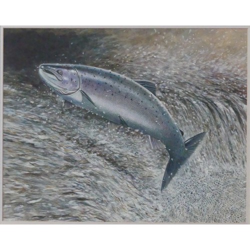 146 - Robin Armstrong (British, b. 1947), Leaping Salmon, watercolour, signed lower left, 38cm x 49cm, fra... 