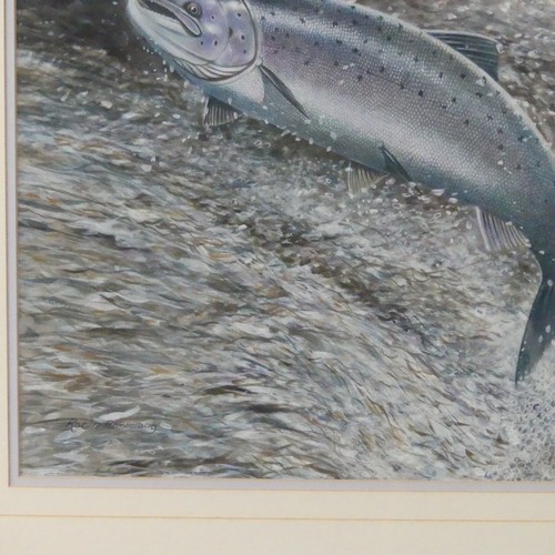 Robin Armstrong British B 1947 Leaping Salmon Watercolour Signed Lower Left 38cm X 49cm Fra 3603