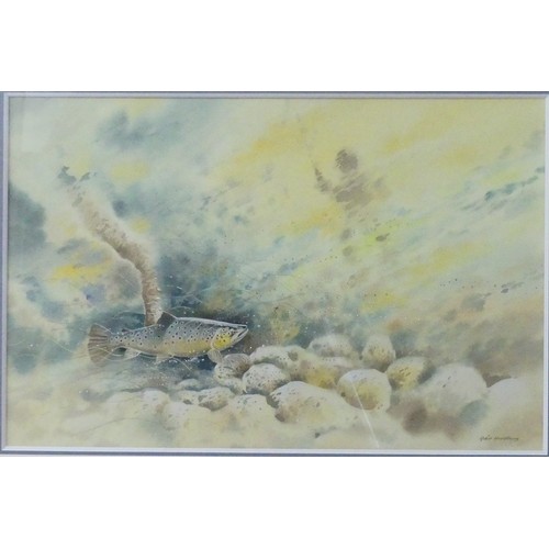 148 - Robin Armstrong (British, b. 1947), Brown Trout in riverbed, watercolour, signed lower right, 45cm x... 