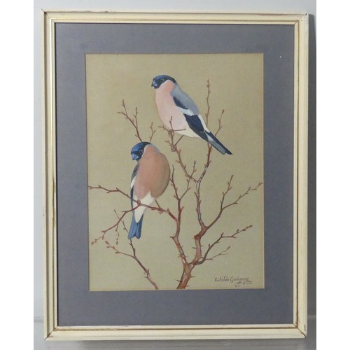 152 - Ralston Gudgeon (British, 1910-1984), Bullfinches, watercolour, signed 'Ralston Gudgeon' lower right... 