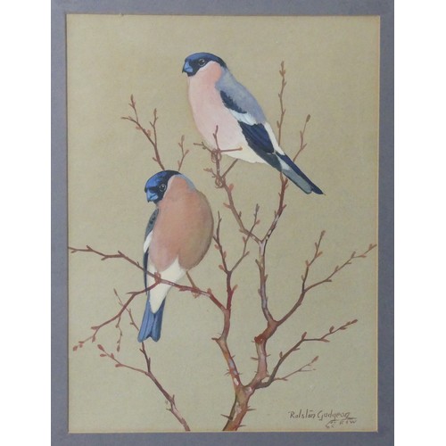 152 - Ralston Gudgeon (British, 1910-1984), Bullfinches, watercolour, signed 'Ralston Gudgeon' lower right... 