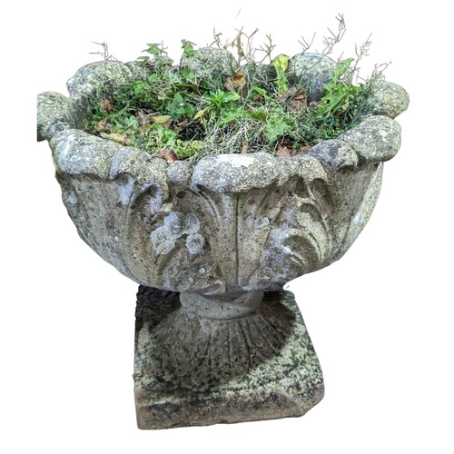 534 - A pair of weathered reconstituted stone garden Urns, W 50 cm x H 40 cm x D 50 cm(2)