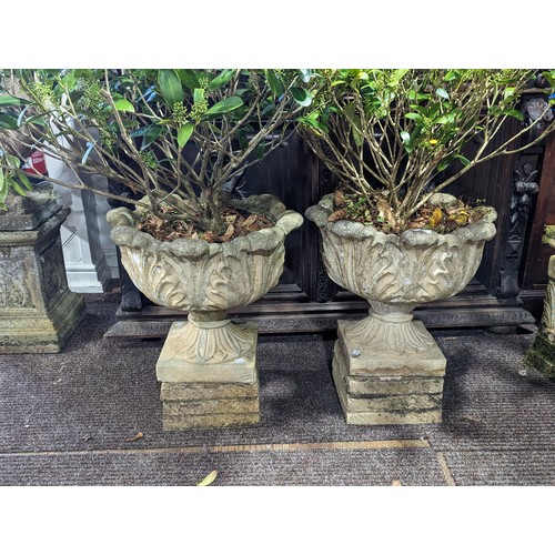 531 - A Pair of weathered reconstituted stone garden Urns, with circular acanthus/cabbage leaf bowls, rais... 