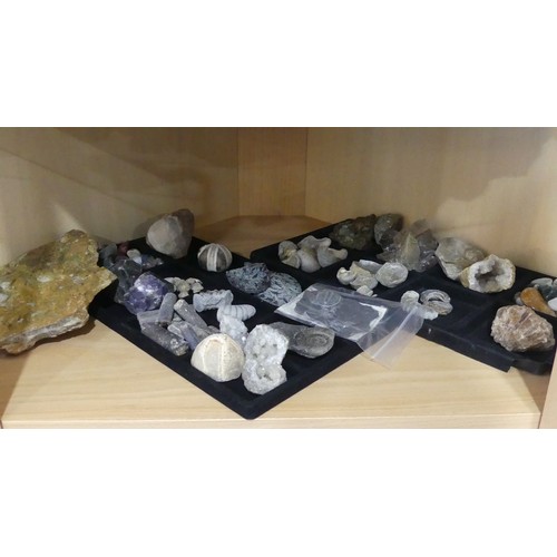 586 - Natural History and Geology - A very large and academic collection of Geological Specimens, Minerals... 