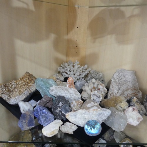 586 - Natural History and Geology - A very large and academic collection of Geological Specimens, Minerals... 