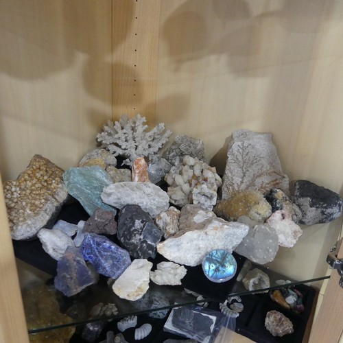 586 - Natural History and Geology - A very large and academic collection of Geological Specimens, Minerals... 