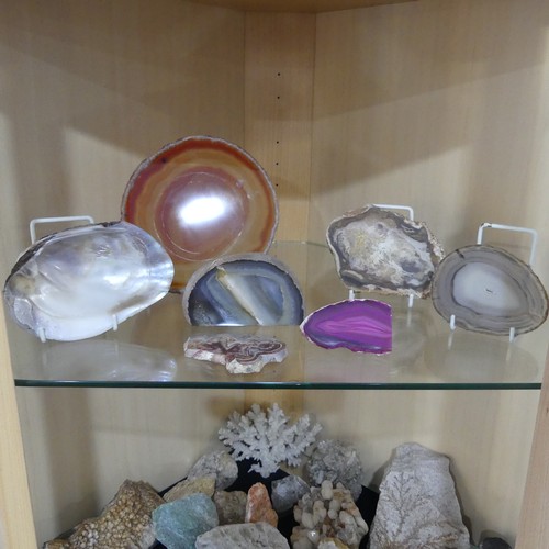 586 - Natural History and Geology - A very large and academic collection of Geological Specimens, Minerals... 