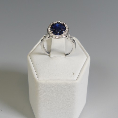 276 - A sapphire and diamond Cluster Ring, the central oval facetted sapphire, approx. 7mm long four claw ... 