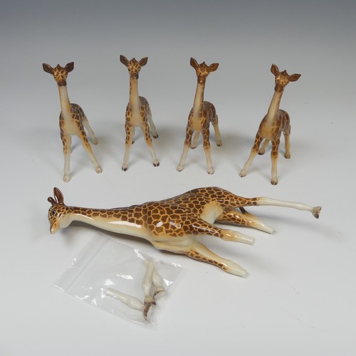 113 - A small herd of Beswick pottery Giraffes, to comprise one large model of a Giraffe, with three broke... 