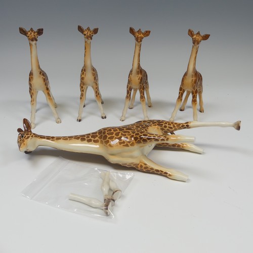 113 - A small herd of Beswick pottery Giraffes, to comprise one large model of a Giraffe, with three broke... 