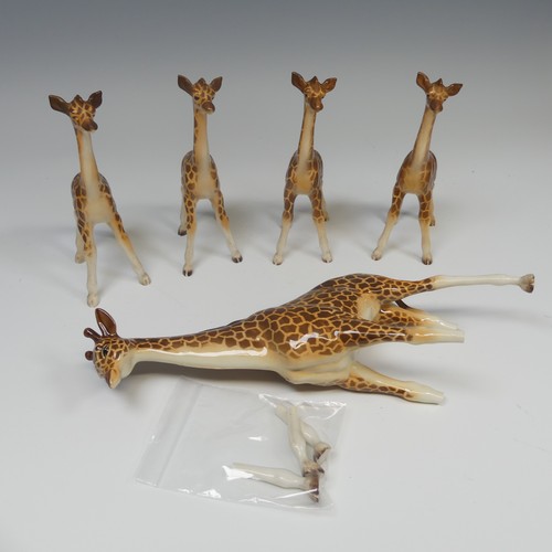 113 - A small herd of Beswick pottery Giraffes, to comprise one large model of a Giraffe, with three broke... 