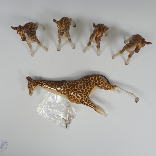 113 - A small herd of Beswick pottery Giraffes, to comprise one large model of a Giraffe, with three broke... 