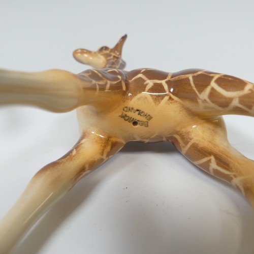 113 - A small herd of Beswick pottery Giraffes, to comprise one large model of a Giraffe, with three broke... 