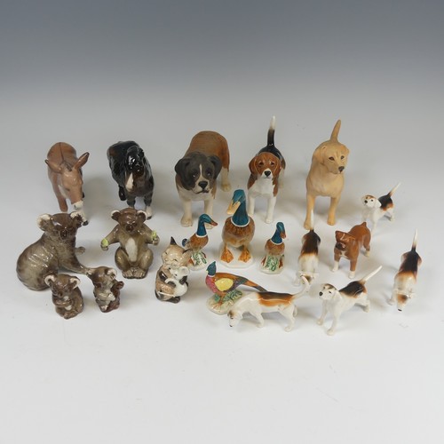 114 - A family of Beswick pottery Koalas, comprising two larger and two smaller figures, in varying poses,... 